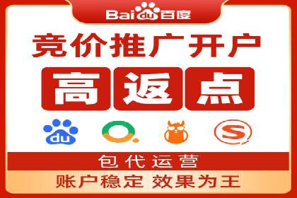 网站sem托管案例分享：如何精准投放广告